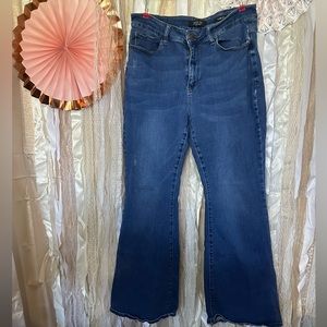 #15 Judy Blue 16w Flare Fit Like New SUPER CUTE
